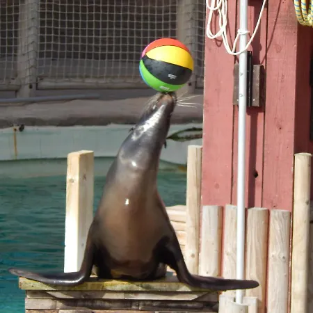 Flamingo Land - Cedar Wood Cw49